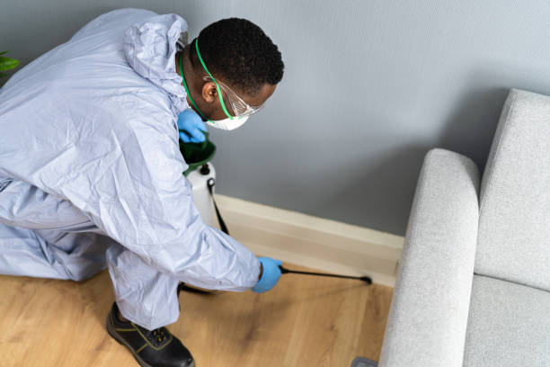 Best Pest Prevention Services  in Rothschild, WI